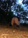 Reek, foto 3000x4000, 1 reacties, 6 stemmen