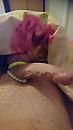 Ringen, foto 2160x3840, 0 reacties, 10 stemmen