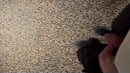 Risky, film 00:00:16, 3 reacties, 13 stemmen