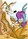 Roadrunner, foto 646x900, 0 reacties, 7 stemmen