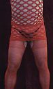 Rood, foto 533x886, 2 reacties, 6 stemmen