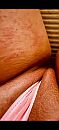 Roze tour, foto 738x1600, 7 reacties, 31 stemmen