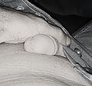 Ruimte geven, foto 1830x1718, 5 reacties, 3 stemmen
