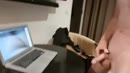 Rukken, film 00:00:00, 13 reacties, 26 stemmen