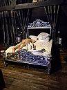 SM kamer, foto 3000x4000, 3 reacties, 17 stemmen