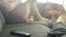 Samen, film 00:00:11, 5 reacties, 37 stemmen