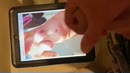 Sandra, film 00:00:11, 4 reacties, 5 stemmen