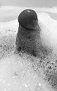 Schuim!, foto 1769x2834, 2 reacties, 4 stemmen
