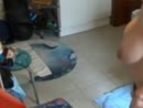 Schwarzer Slip und Hängeeuter, film 00:00:00, 14 reacties, 55 stemmen