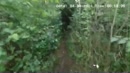 Seks in het Maisveld 2023, film 00:00:00, 15 reacties, 69 stemmen
