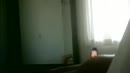 Seks met K.V. vaste `klant`..., film 00:00:00, 10 reacties, 57 stemmen