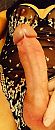 Sexy lingerie, foto 1332x3132, 23 reacties, 39 stemmen