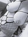 Sexy me, foto 2323x3032, 14 reacties, 46 stemmen