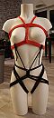 Shibari, foto 1501x3208, 2 reacties, 5 stemmen