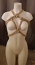Shibari, foto 1611x2929, 1 reacties, 6 stemmen