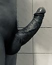 Shiny armor, foto 1974x2443, 5 reacties, 14 stemmen
