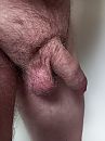 Slappe pik, foto 3000x4000, 4 reacties, 6 stemmen