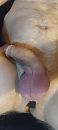 Slappe toestand, foto 1472x3264, 18 reacties, 31 stemmen