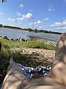 Slijk -ewijk ben benieuwd, foto 3000x4000, 4 reacties, 14 stemmen