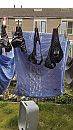 Slipjes schoon gewassen, foto 1836x3264, 6 reacties, 18 stemmen