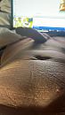 Smooth en stijf, foto 2160x3840, 1 reacties, 7 stemmen