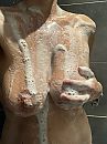 Sop sop, foto 960x1280, 17 reacties, 70 stemmen