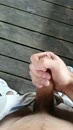 Spannend langs het fietspad, film 00:00:13, 8 reacties, 22 stemmen