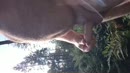 Spannend op een open plek, film 00:00:19, 6 reacties, 20 stemmen