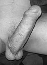 Spelen?, foto 1125x1558, 3 reacties, 14 stemmen