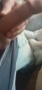 Spelen, film 00:00:11, 3 reacties, 18 stemmen