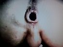 Spier verdoving, foto 4000x3000, 1 reacties, 5 stemmen