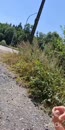 Spuiten langs de weg, film 00:00:11, 13 reacties, 53 stemmen