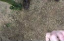 Spuiten met een vreemde, film 00:00:12, 74 reacties, 272 stemmen