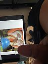 Spuitfoto, foto 3000x4000, 1 reacties, 17 stemmen