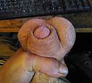 Squeeze play, foto 563x510, 0 reacties, 3 stemmen