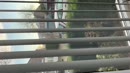 Sta je weer met je lekkende, film 00:00:24, 1 reacties, 8 stemmen