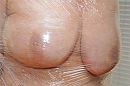 Stevig ingepakt, foto 510x340, 4 reacties, 17 stemmen