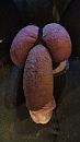 Strak afgebonden., foto 2250x4000, 1 reacties, 4 stemmen