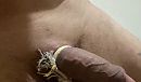 Strak, foto 1125x666, 8 reacties, 15 stemmen