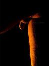 Studio, foto 600x800, 2 reacties, 13 stemmen