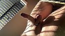 Sunday vibes, foto 3664x2062, 3 reacties, 18 stemmen