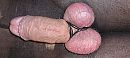 Super lekker strak afgebonden, foto 4000x1801, 1 reacties, 8 stemmen