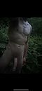 Takken, foto 828x1792, 3 reacties, 9 stemmen