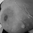 Tasty grey!, foto 1813x1791, 6 reacties, 35 stemmen