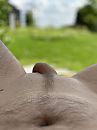 Terras..., foto 3000x4000, 0 reacties, 1 stemmen