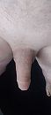 Terug proper en glad!, foto 1802x4000, 3 reacties, 10 stemmen