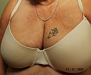 Tieten, foto 1026x856, 34 reacties, 95 stemmen