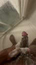 Tja, hij moet toch schoon ;), film 00:00:11, 8 reacties, 18 stemmen
