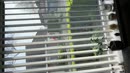 Toen ging de overbuurvrouw, film 00:00:16, 3 reacties, 4 stemmen