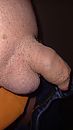 Truste, foto 2250x4000, 2 reacties, 8 stemmen